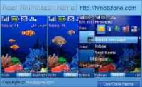 ANHTHEME15